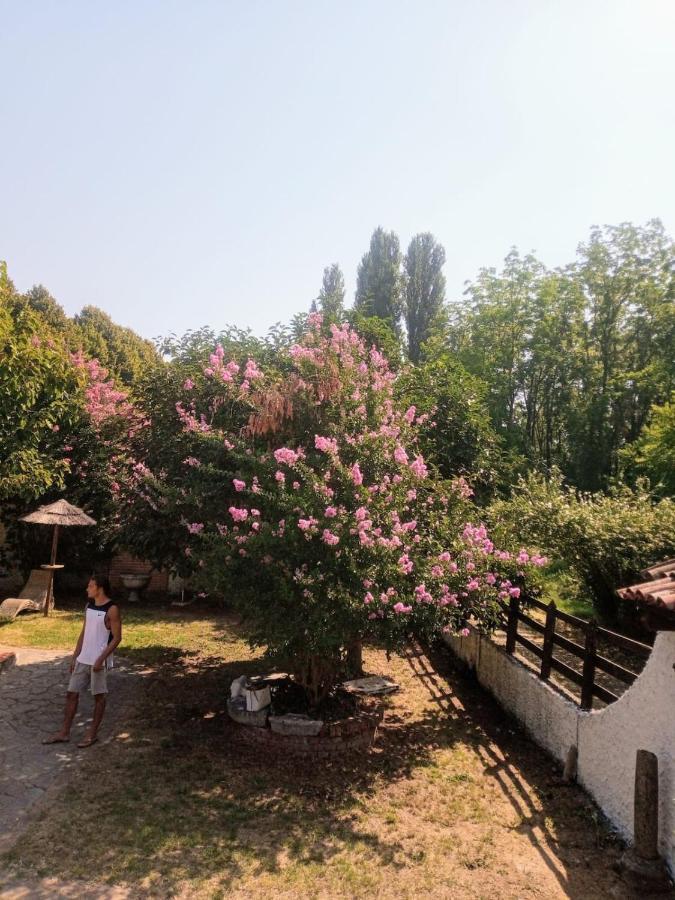 La Dama Con L'Ermellino B&B San Giovanni in Croce Dış mekan fotoğraf