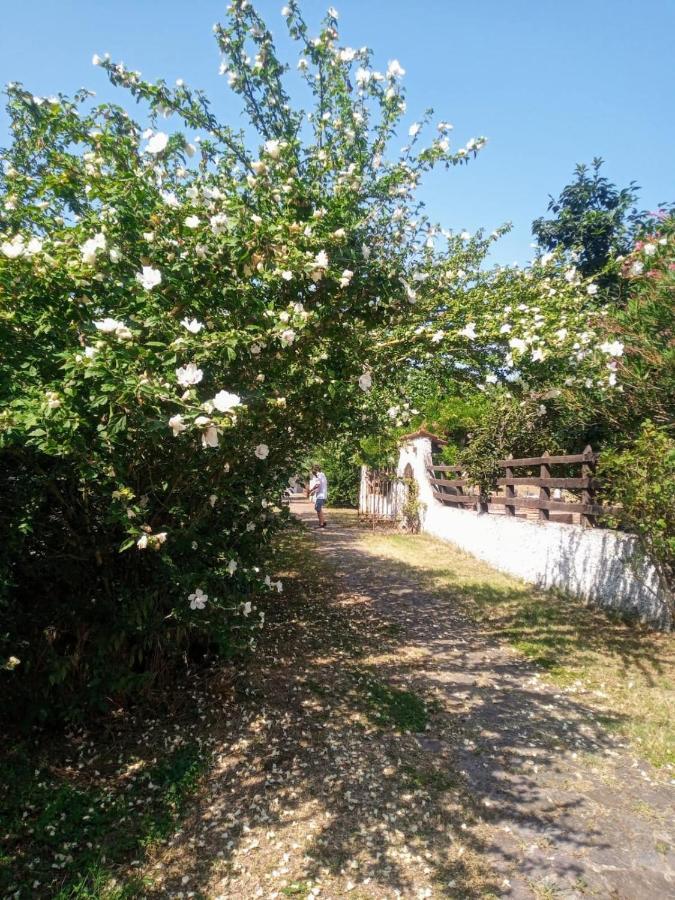 La Dama Con L'Ermellino B&B San Giovanni in Croce Dış mekan fotoğraf